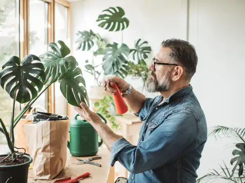 You need ensure proper sunlight for your plants: