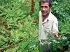 From insurgency to Arabica: Nagaland finds a new revolution in coffee