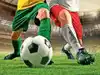 The World Cup Reminds Us of the Animal Origins of Football