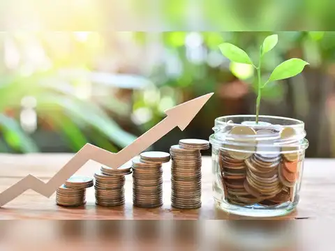 Money market and overnight funds