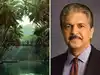 Anand Mahindra is captivated by this less-crowded, magical destination. 8 hours from Bangalore, this place has forests, rivers, and sea. Where is Honnavar located