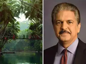 &lsquo;Mangrove forests, winding waterways, mirror-like backwaters&rsquo;: Anand Mahindra is captivated by this offbeat Karnataka town