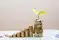 Image for Equity mutual funds deliver up to 33% return last week, inte