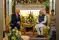 Image for Electronics, pharma and engineering goods lead India's FTA d