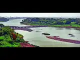 Afforestation, dolphin revival show life returning to Ganga under Namami Gange: NMCG