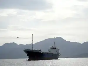 US Navy coordinates rescue of 14 Indian nationals from sinking dhow off Oman coast