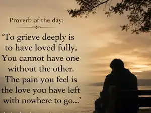 Proverb of the day: 'To grieve deeply is to have loved fully. You cannot have one without the other. The pain you feel is the love you have left with nowhere to go...' A timeless lesson about love, loss, and the pain of goodbyes