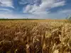 Crop prices drop as Hormuz reopening to ease farm-input shock