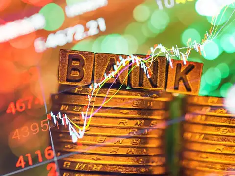 Your portfolio may not be eligible: Banks only accept approved, liquid stocks