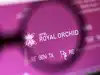 Royal Orchid plans to add 50 hotels, betting on local demand boost