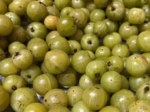 Amla