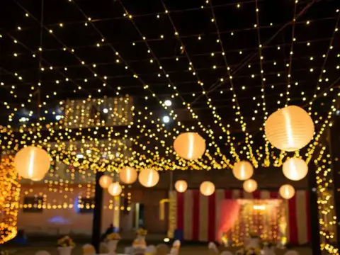 Protect Decorative Lights And Charging Wires