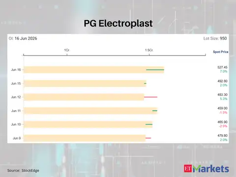 PG Electroplast