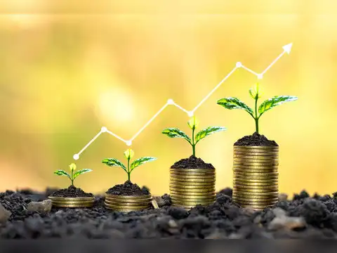 Quant Mutual Fund