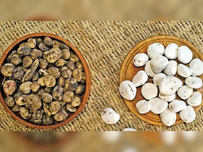 Rare Inca freeze dried potatoes discovery: 500 years buried in a jar ...