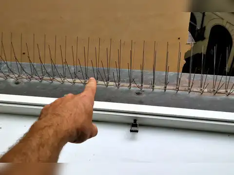 Eliminate favourite perching spots