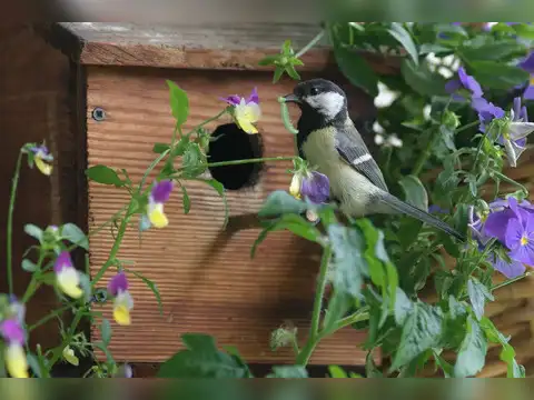 Give birds a dedicated space instead