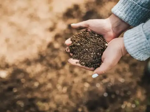 Use Them For Garden Compost Collection