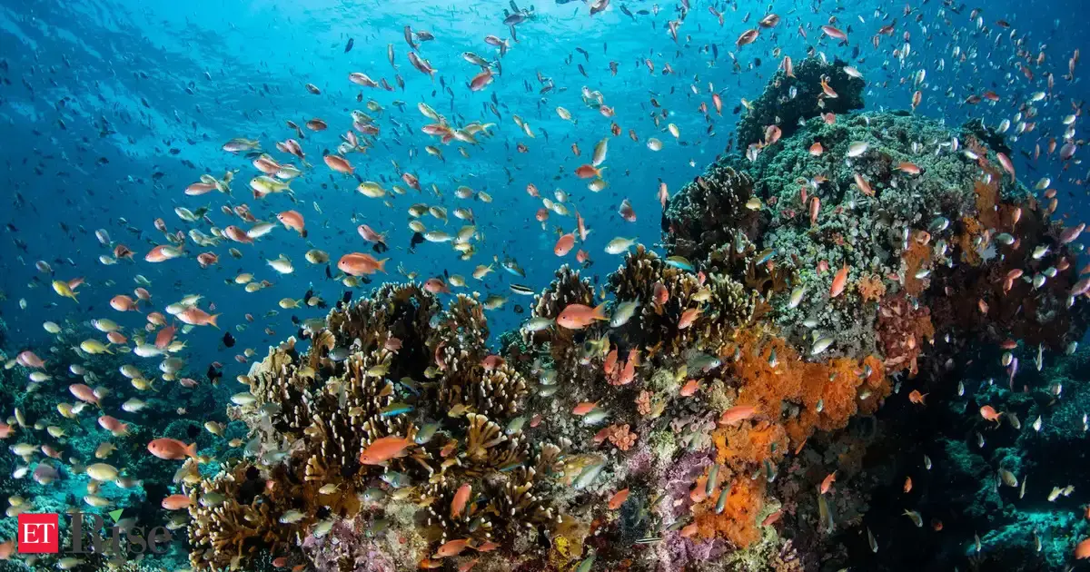 Climate change, pollution push oceans to tipping point, UN report says