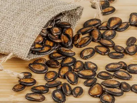 Watermelon Seeds