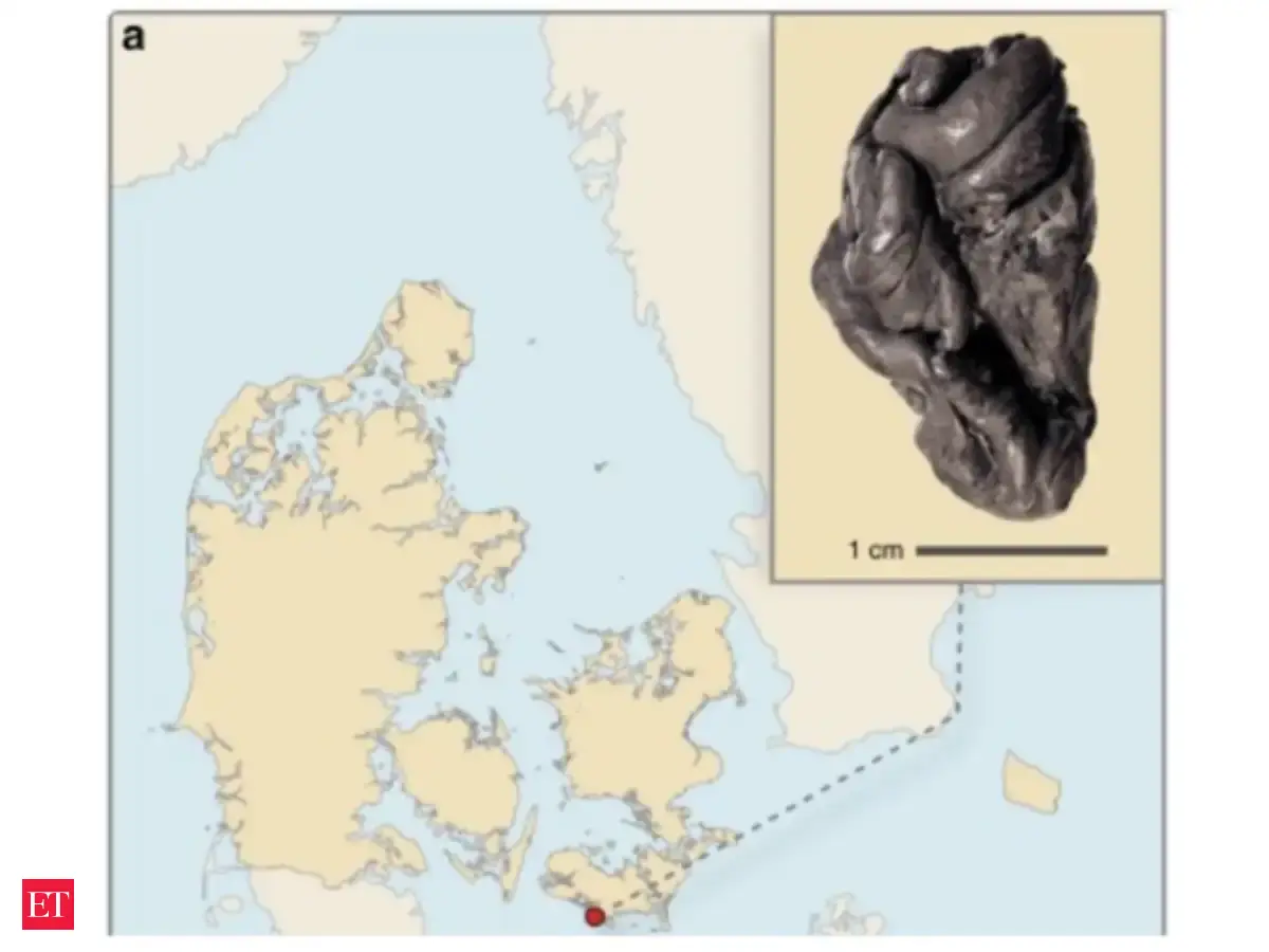 In 1991, archaeologists tested a lump of ancient chewing gum from Scandinavia, it unexpectedly preserved the DNA of a person who lived 5,700 years ago