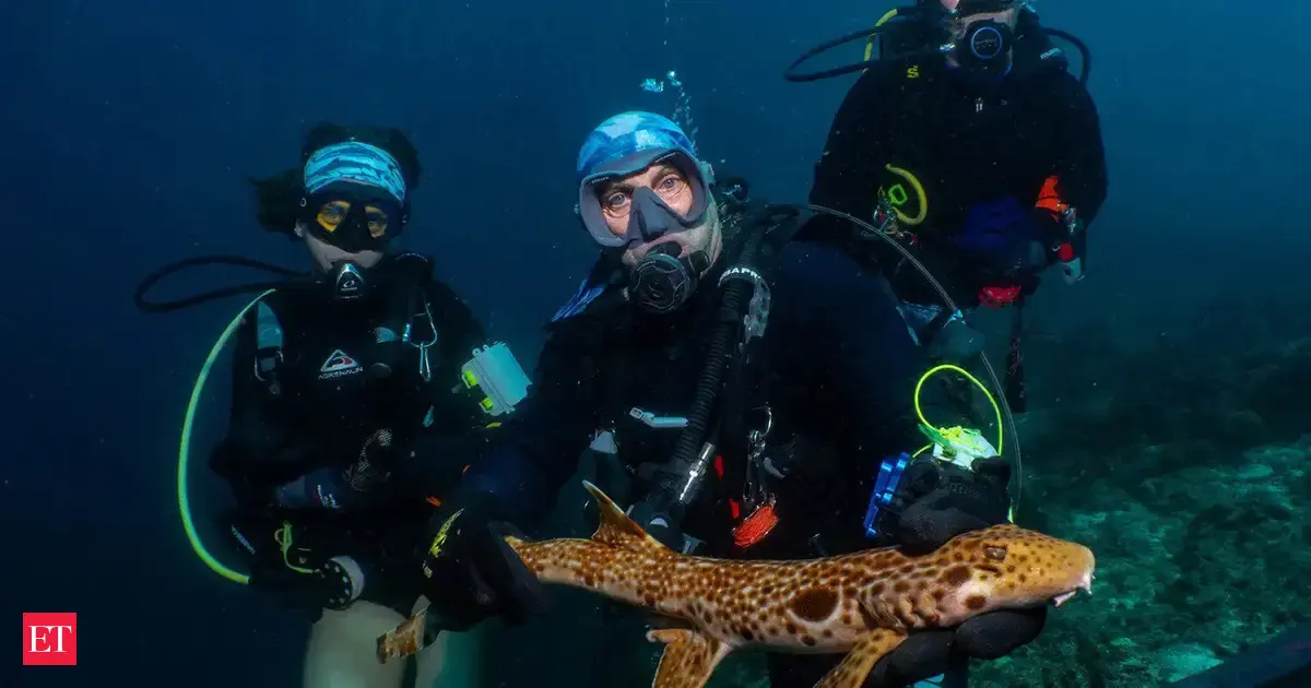 A shark that walks instead of swims? Scientists just found a new one in the wild, and it may already be facing extinction