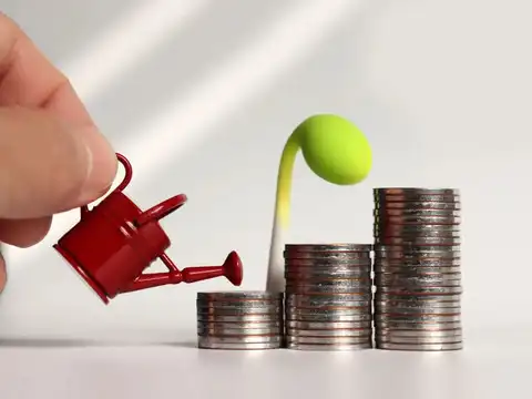 PMS customization: How portfolios can be tailored to your needs
