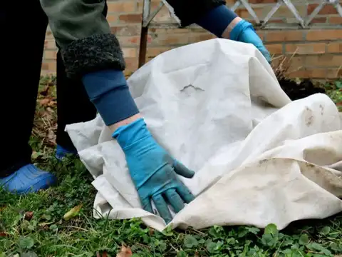 Use Them For DIY Plant Covers