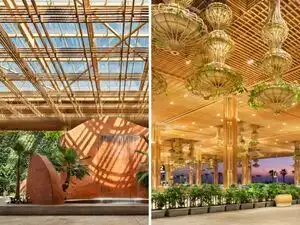 600,000 live plants, 1200 tree species, bamboo decor: Entrepreneur says Bengaluru airport 'feels like a different world&rsquo;