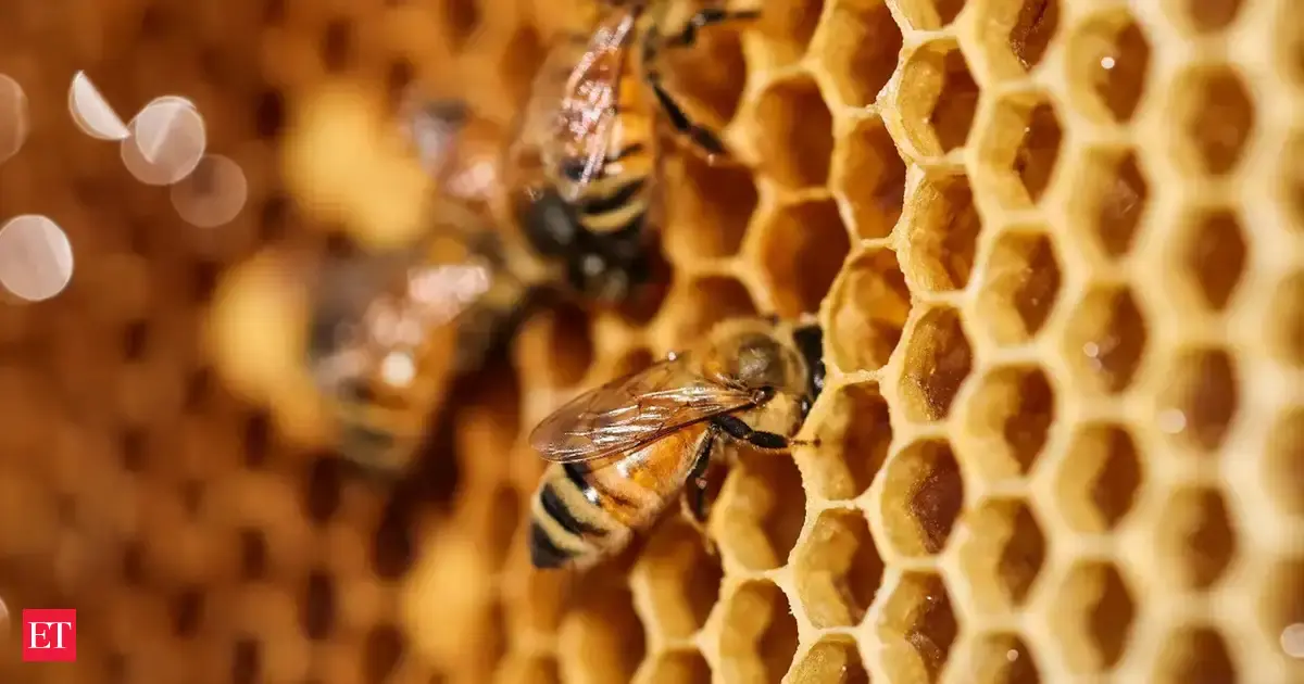 Scientists found 3,000-year-old honey in Egyptian tombs, and it was still edible