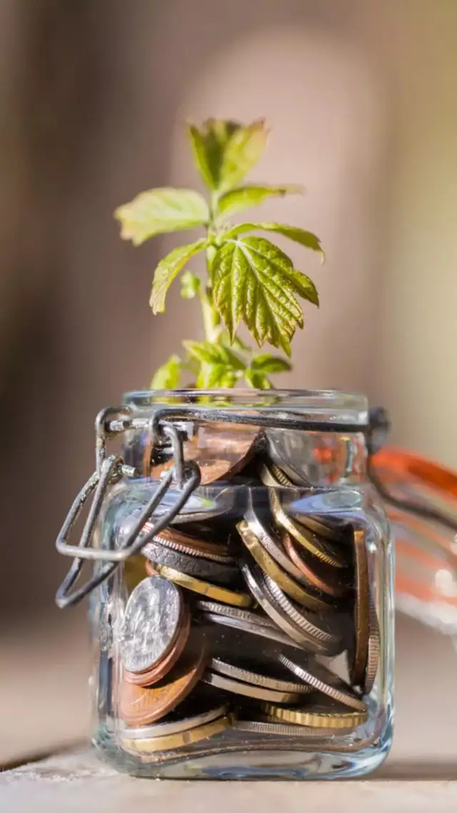 Parag Parikh Large Cap Fund