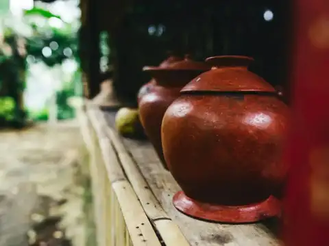Place Earthen Pots Of Water Indoors