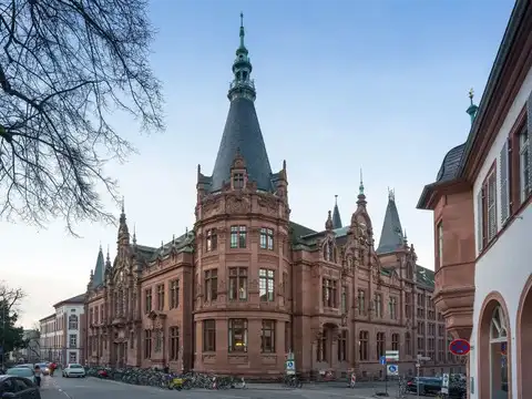 Heidelberg University