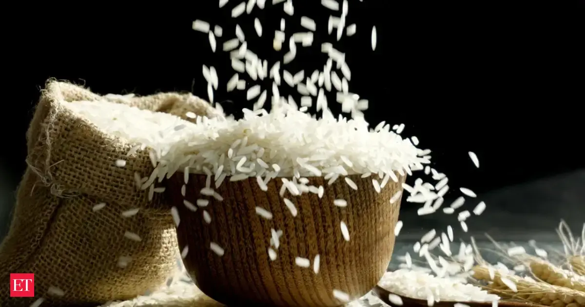 Basmati prices may fall 5–10% on export hit 