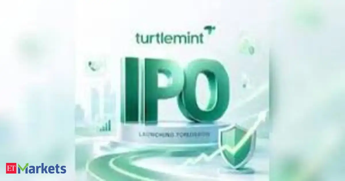 Turtlemint Fintech IPO Day 2: Issue subscribed 47%; Check GMP and other key details