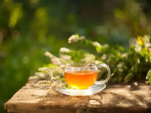Green Tea May Be Better For People With Prediabetes