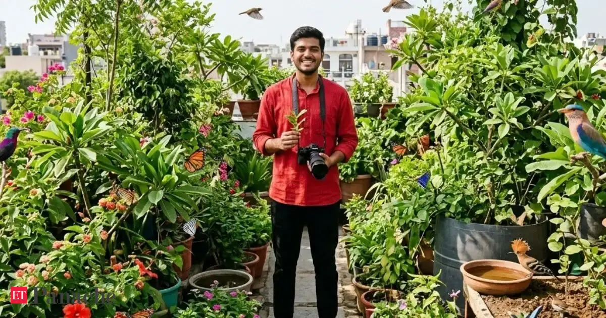 500 plants, 100 birds, 25 butterfly species: At 23, Delhi boy turns home terrace into lush urban forest. How a childhood love for birdwatching sparked a mission to protect urban wildlife