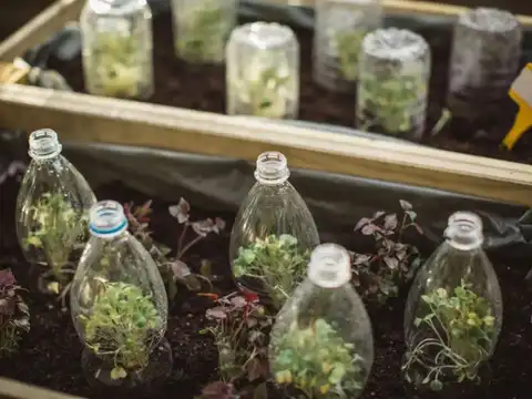 Use Bottles As Plant Labels