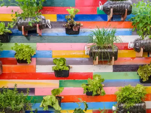 Create Hanging Herb Planters