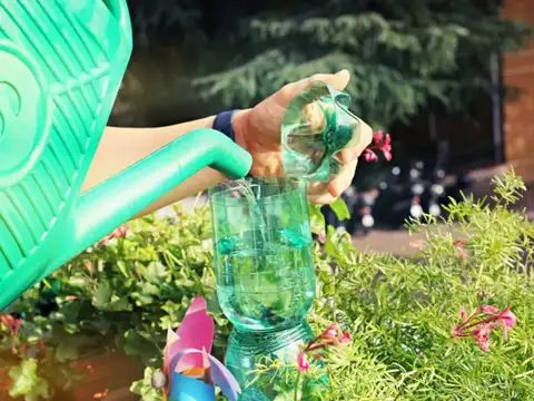 Make A Slow-Release Watering Bottle
