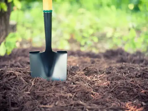 Use As Mulch Around Plants