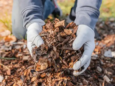 Add Them To Compost For Richer Soil