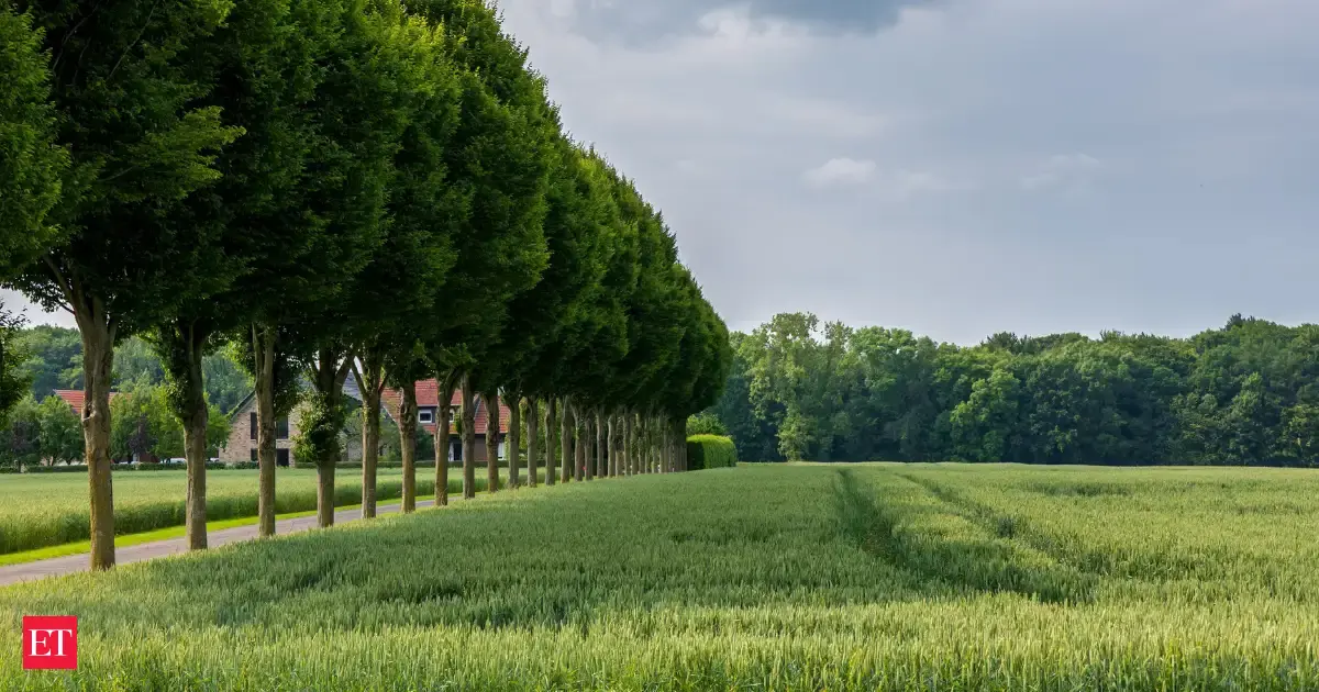 More trees do not always mean more birds, and a Japanese study found grassland species fell by over 70% near shelterbelts, showing that restoring habitat can sometimes reduce biodiversity