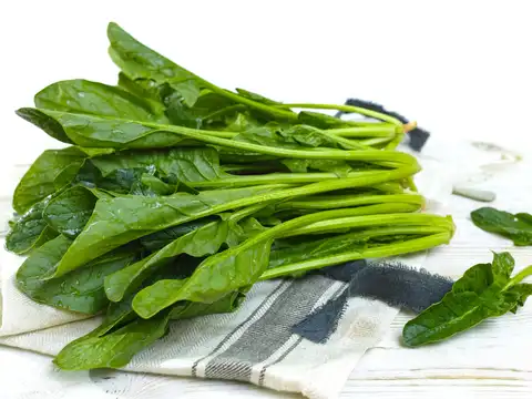 Spinach