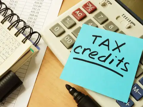 Step 5: Disclose the clubbing in schedule SPI to avoid a tax notice