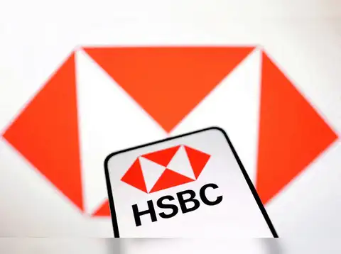 HSBC Midcap Fund