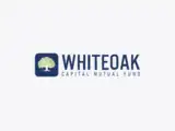 Adding gold to portfolio can boost returns without significantly increasing risk: WhiteOak study
