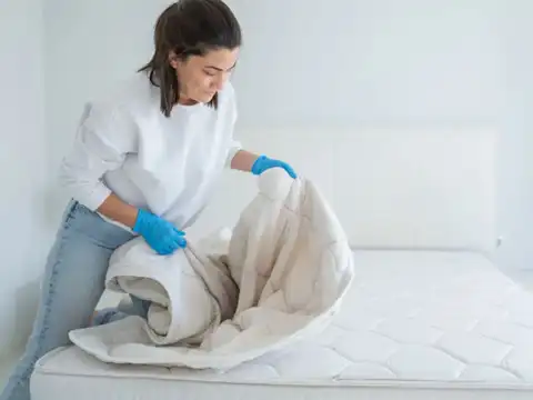Use them as dust covers for appliances