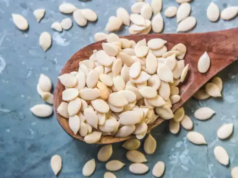 Melon Seeds
