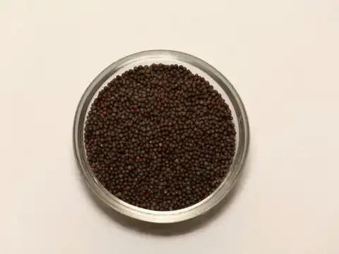Mustard Seeds